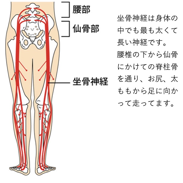 ダウンロード (2)