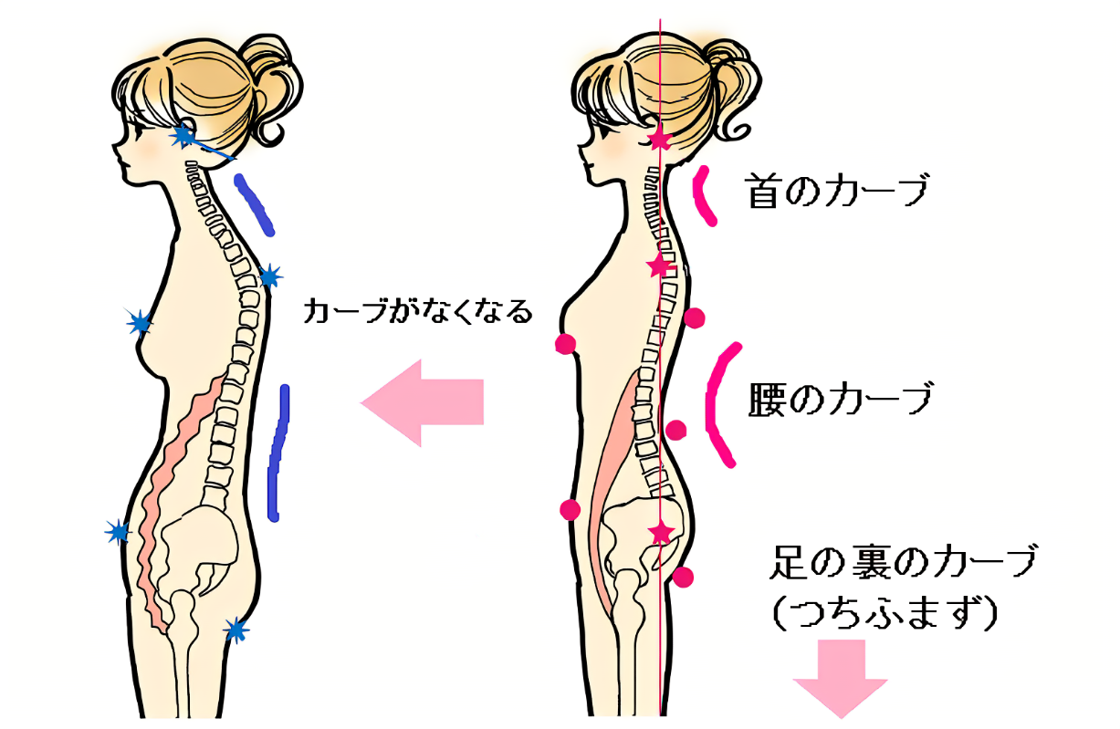 姿勢